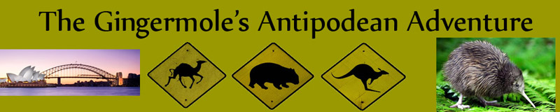 TheGingerMole on tour of the Antipodes