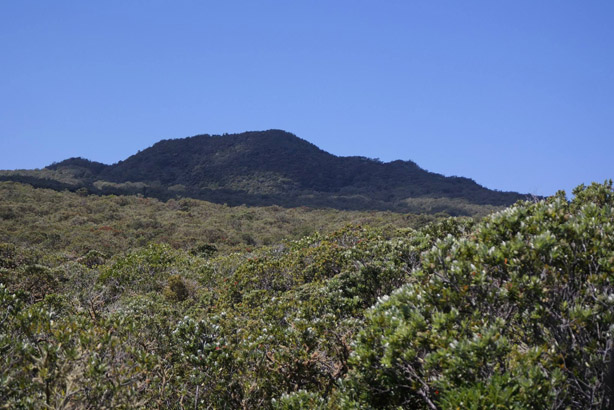 Rangitoto Island